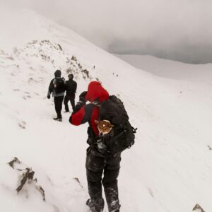 Manali–Kasol Trip (Delhi to Delhi) | 5 Days / 4 Nights