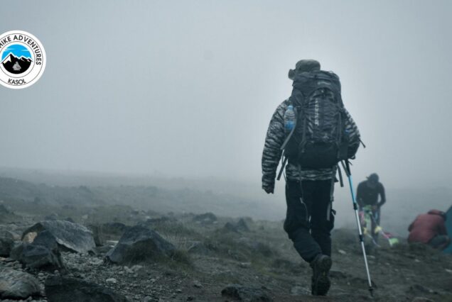 Why Choose Wild Hike Adventures For Your Trekking?