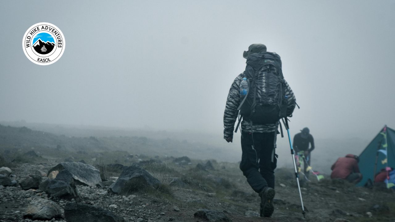 Why Choose Wild Hike Adventures For Your Trekking?