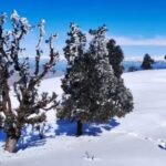 How to reach nag tibba from delhi