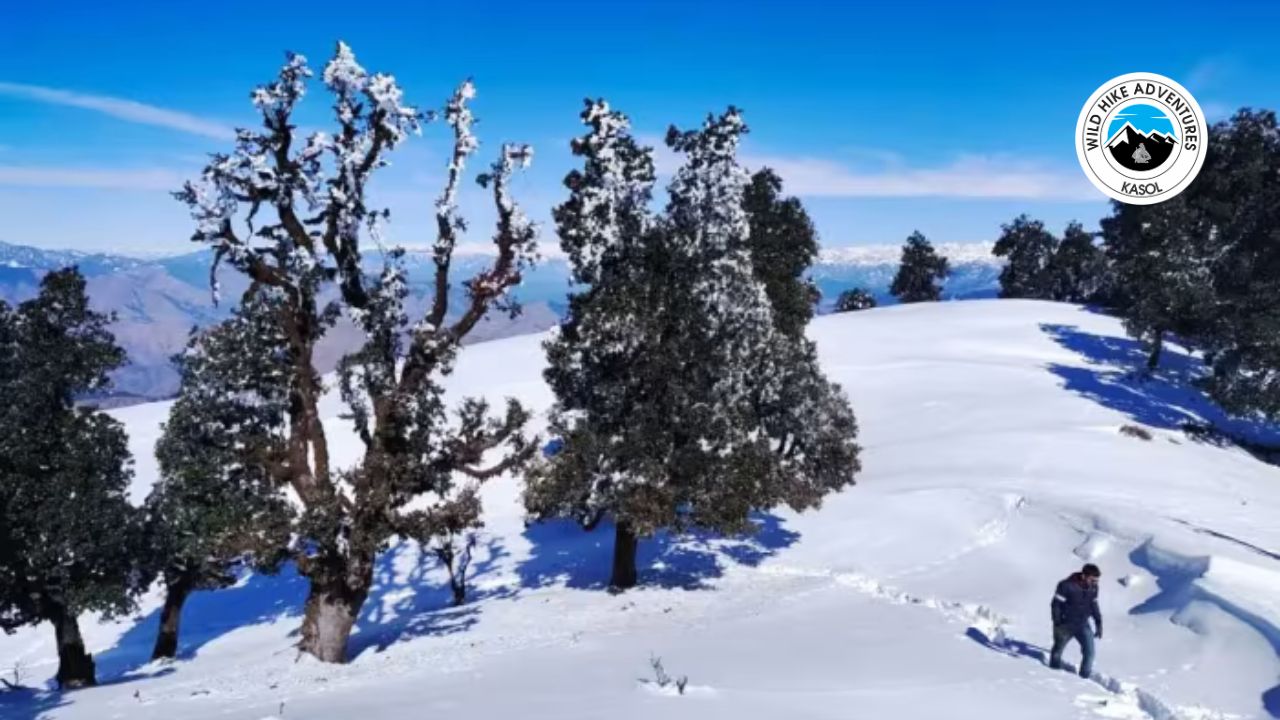How to reach nag tibba from delhi